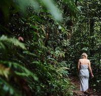Daintree Ecolodge - Holiday Adelaide
