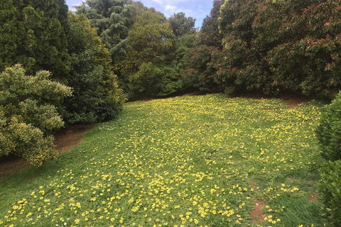 Warragul Views Motor Inn - Holiday Adelaide 2