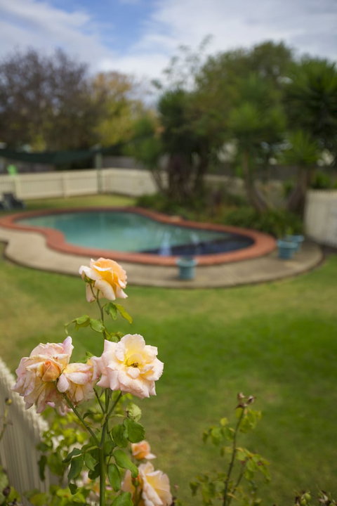 Rose Garden Motel - Holiday Adelaide 3