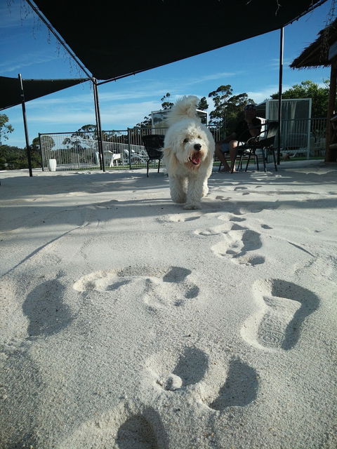 Clare Valley Motel - Holiday Adelaide 5