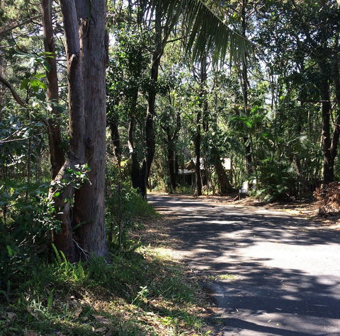 Byron Bay Rainforest Resort - Holiday Adelaide 3