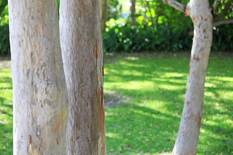 The Retreat Port Stephens - Holiday Adelaide 2