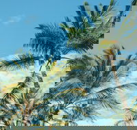 Base Magnetic Island Hostel - Holiday Adelaide