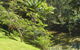 Sensom Luxury Bed & Breakfast - thumb 5
