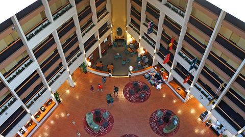 Rydges Sydney Harbour - Holiday Adelaide 5