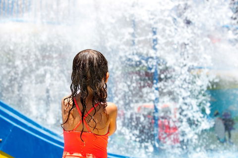 Paradise Resort Gold Coast - Holiday Adelaide 5