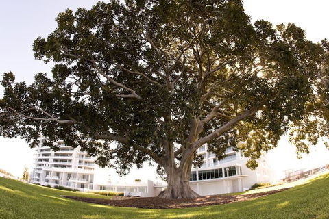 The Sebel Mandurah - Holiday Adelaide 1