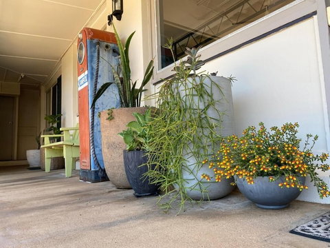 Ben Hall Motor Inn - Holiday Adelaide 5