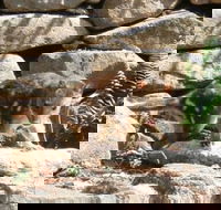 Jenolan Caves House - Holiday Adelaide