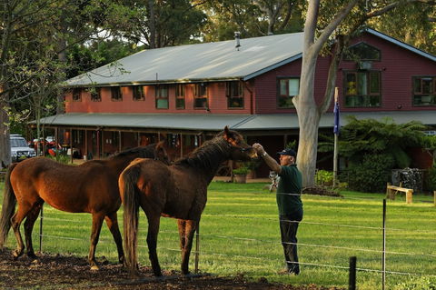 Bilpin Country Lodge - Holiday Adelaide 1