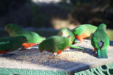 Omeo Motel - Holiday Adelaide 4