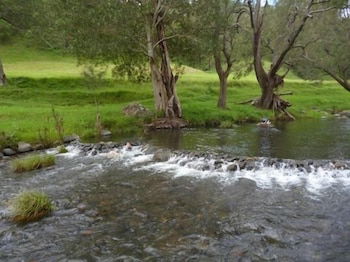Christmas Creek Cafe & Cabins - Holiday Adelaide 4