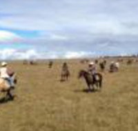 Susan River Homestead - Holiday Adelaide