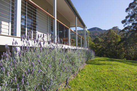 Wilderberry Cottage - Holiday Adelaide 4