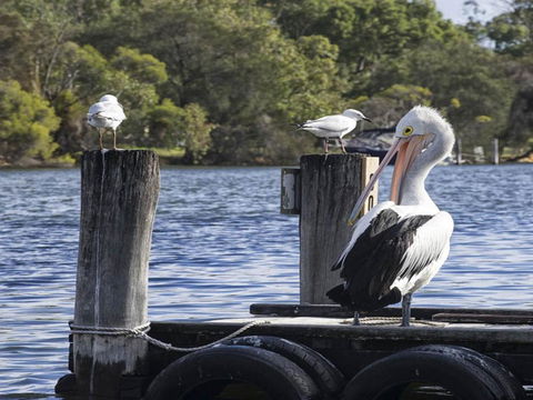 Mandurah Riverfront Holiday Rental - Holiday Adelaide 4