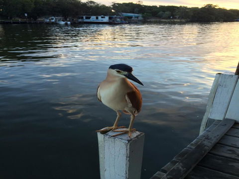 Mandurah Riverfront Holiday Rental - Holiday Adelaide 1