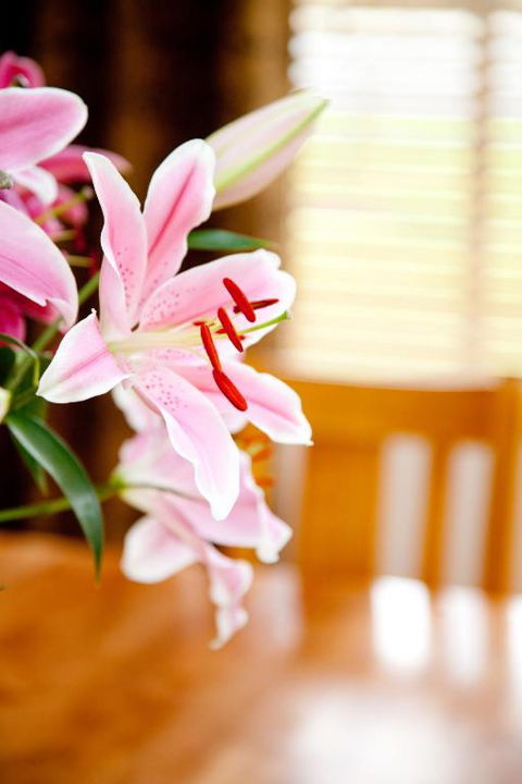 Ocean Mist Villa - Holiday Adelaide 6