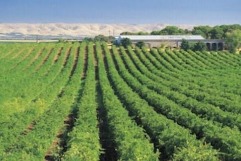 McLaren Vale Backpackers - Holiday Adelaide 4
