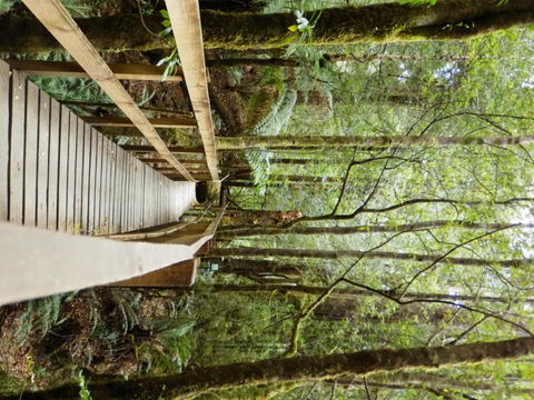 Tahune Air Walk Lodge - Holiday Adelaide 4