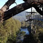 Tahune Air Walk Lodge - Holiday Adelaide 0