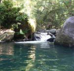 Daintree Secrets Rainforest Sanctuary - Holiday Adelaide