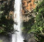 Purling Brook Falls Gwongorella - Holiday Adelaide