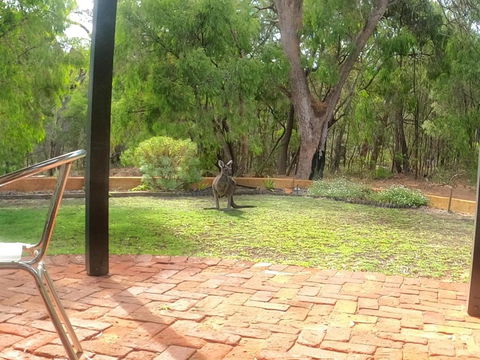 Yallingup Pet Friendly Bush Retreat - Holiday Adelaide 5
