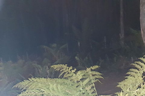 Cradle Alpine Retreat - Holiday Adelaide 3