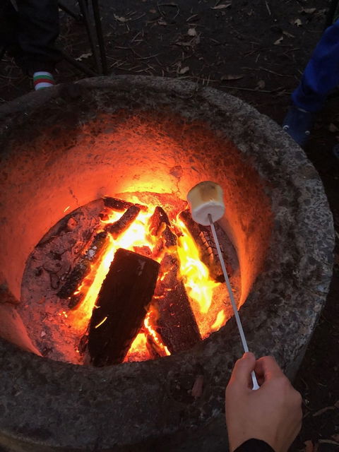 WA Wilderness - Holiday Adelaide 1