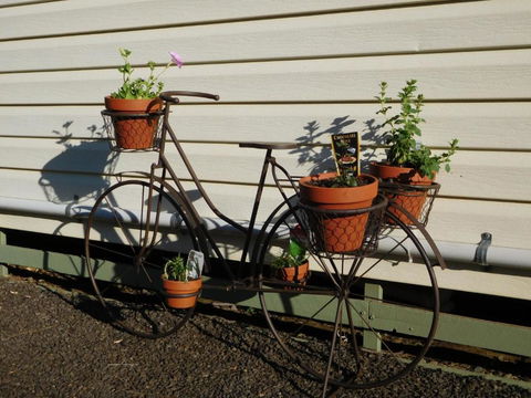 Villa Holiday Park - Holiday Adelaide 4