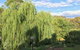 Stoney Creek Retreat - thumb 6