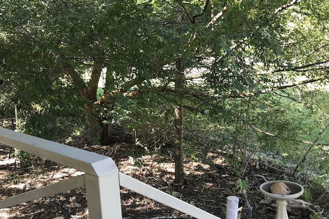 Padthaway Caravan Park - Holiday Adelaide 4