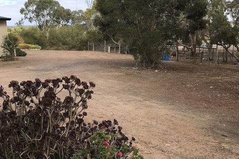 Padthaway Caravan Park - Holiday Adelaide 1