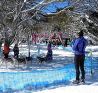Cloud 9 Alpine Lodge - Holiday Adelaide