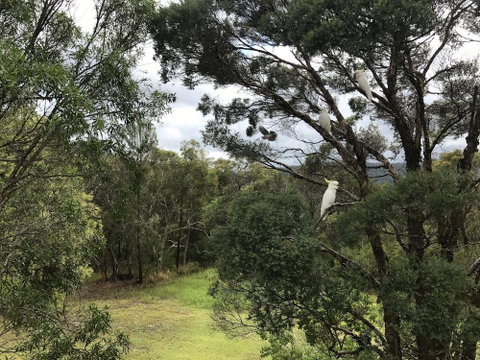 Kookaburra Retreat - Holiday Adelaide 5