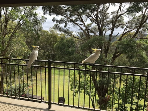Kookaburra Retreat - Holiday Adelaide 4