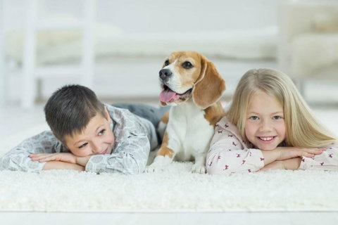 BOUTIQUE STAYS - River Boulevard - Holiday Adelaide 1