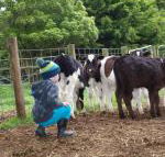 Manderley Park Farmstay B  B - Holiday Adelaide
