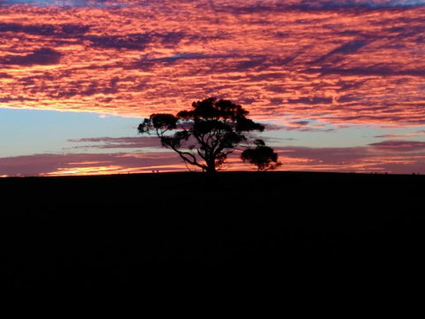 Heartland Hideaway - Holiday Adelaide 3