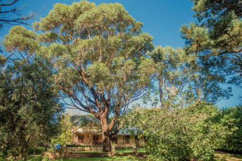 Secluded Homestead Amongst The Trees - Holiday Adelaide 3