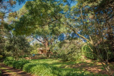 Secluded Homestead Amongst The Trees - Holiday Adelaide 6