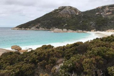 Zephyr Studio - Holiday Adelaide 6