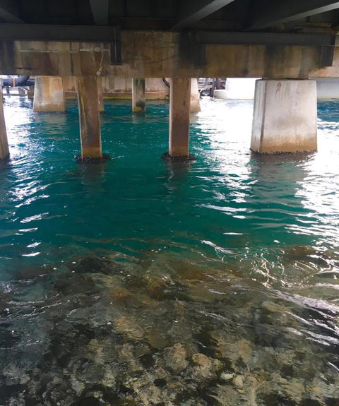 Churchills B & B - Holiday Adelaide 6