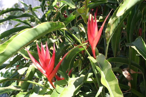 Scarborough Beach Break Holidays - Holiday Adelaide 2
