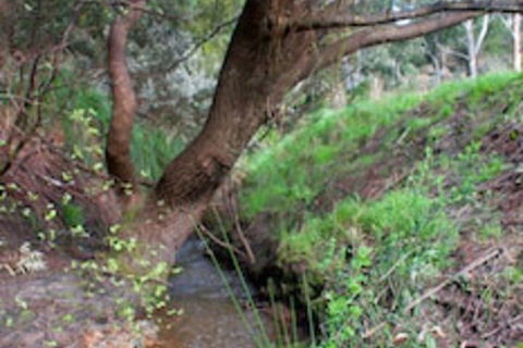 Longwood Retreat - Holiday Adelaide 0