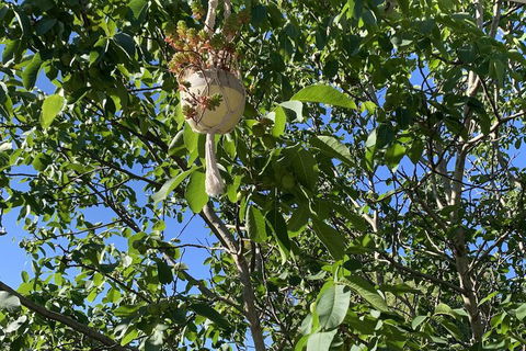 Sweet Dreams Retreat At Lara - Holiday Adelaide 7