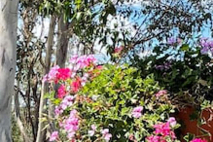 Anduramba QLD Holiday Adelaide