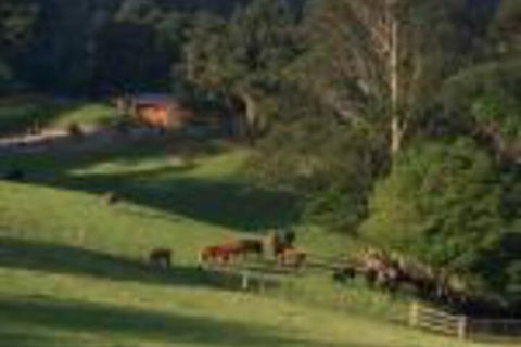 Amaroo Valley Springs - Holiday Adelaide 0