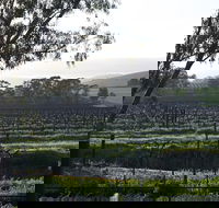 Jasmine's Cottage - Holiday Adelaide