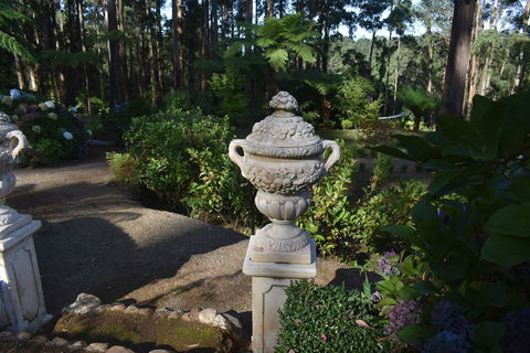 Forest Edge Cottage At Merrow Cottages - Holiday Adelaide 2